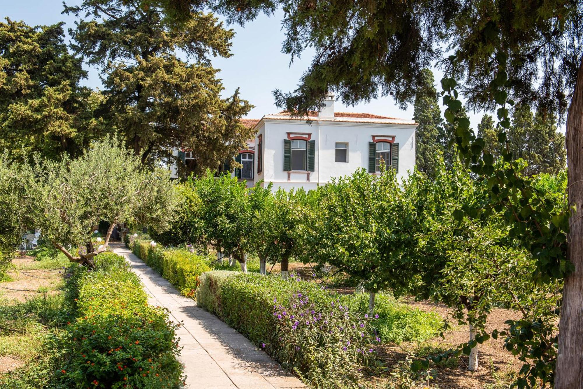 Calvocoressi Estate Chios Town Zewnętrze zdjęcie