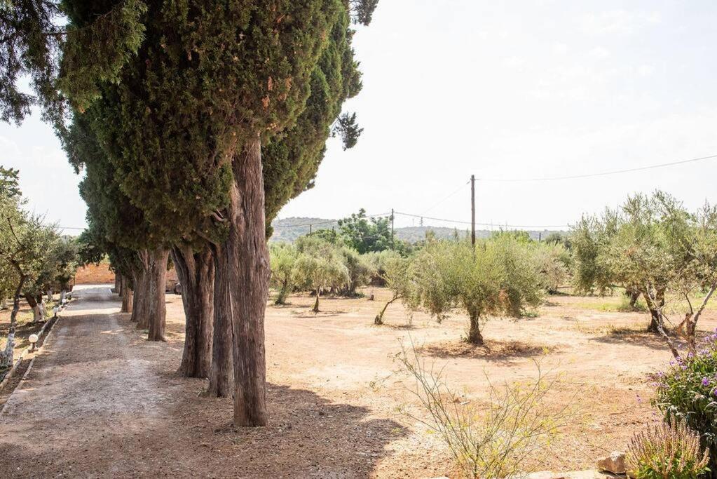 Calvocoressi Estate Chios Town Zewnętrze zdjęcie