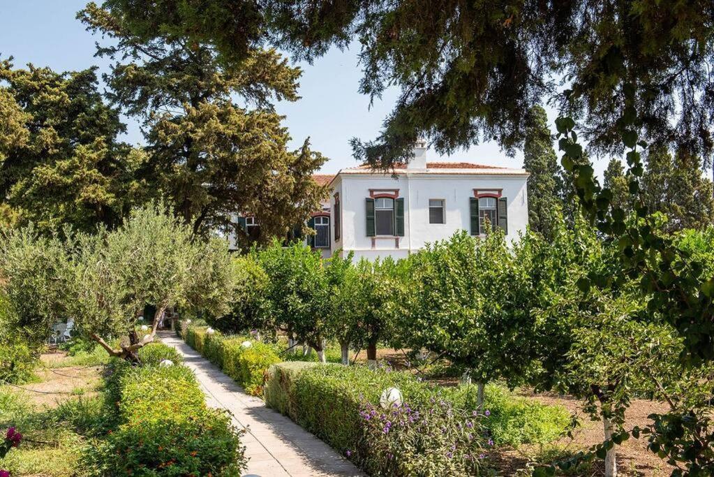 Calvocoressi Estate Chios Town Zewnętrze zdjęcie